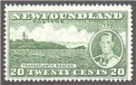 Newfoundland Scott 240 MNH F (P13.7)